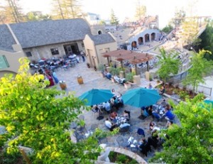 The Mountain Winery